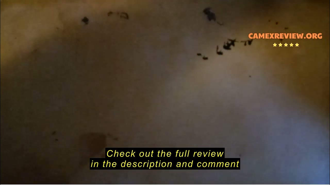 Review Ayesha Curry Nonstick Bakeware Toaster Oven Set with Nonstick Baking Pan, Cookie Sheet / Baki