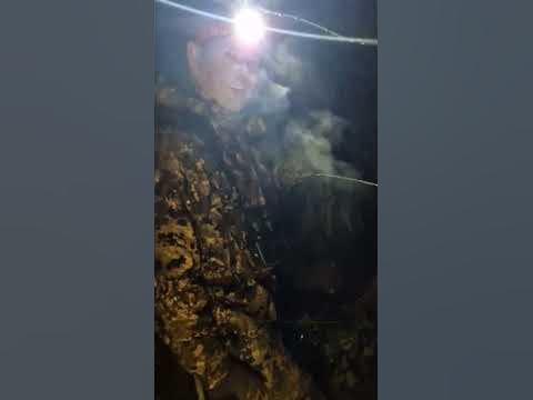 охота на реву большой трофей На медвежьей горе - YouTube
