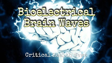 Bioelectrical Brain Waves - Pharmacist Ben Fuchs - Moment of Truth