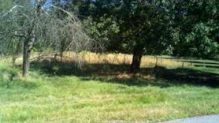 Motorola Droid X: 720p Camcorder Sample