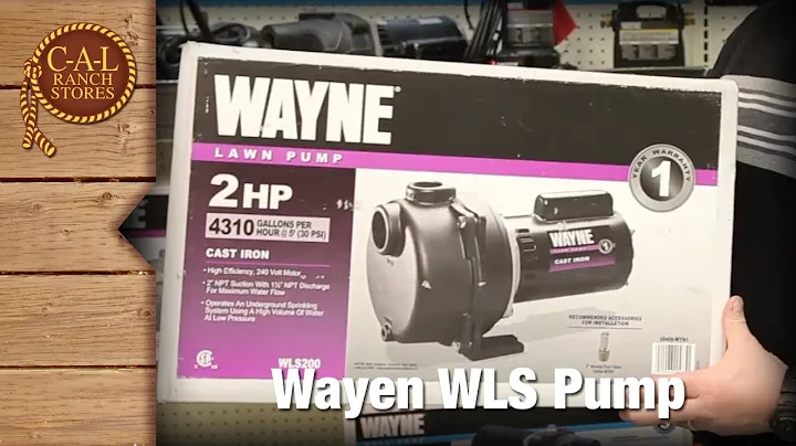Wayne Lawn Pump - 2 Horsepower