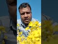 গ্রামের দৃশ্য কত সুন্দর সবাই দেখুন #shortvideos #viral #videoshort #videos #newvideo #foryou#beauti