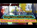 TERAPI SUARA TOET TOET UBAH CENDET BISU BUKA SUARA, CENDET GACOR FULL ISIAN