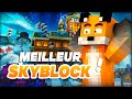 Je DÉCOUVRE le MEILLEUR Serveur Minecraft Skyblock ! | SeasonSky
