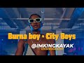 Burna Boy - City Boys (Official Dance Video) | Choreography | King Kayak World