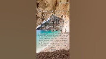 سورة التوبة و؛ كا.نك تسمعها لأ..و.ل مر.ة 💜💟..🌺🌷؛،❤️🌷..💖بصوت الشيخ حمزة مد بوح 🌻🌼؛،💮،💝؛؛🌸؛؛🏵️💕