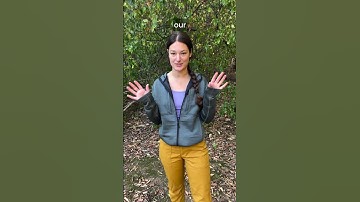 Introducing the LIVSN Designs Supplier Code of Conduct