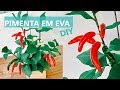 DIY PIMENTEIRA DE EVA E MASSINHA DE EVA