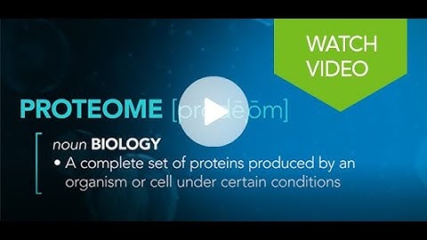 Proteomics 101: What is Proteomics?