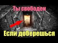 Тайный переход на другую планету. Выход все таки есть | Сон Разума