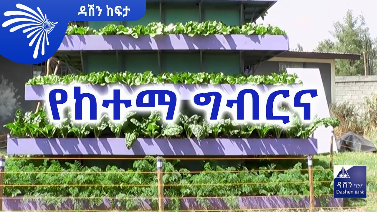 ግሩም ፈጠራ በከተማ ግብርና ላይ -  Dashen Kefita -ዳሽን ከፍታ @Arts Tv World