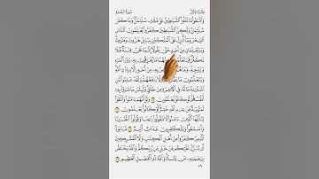مصحف الاشارة مع التكرار || سورة البقره || من 101 : 102