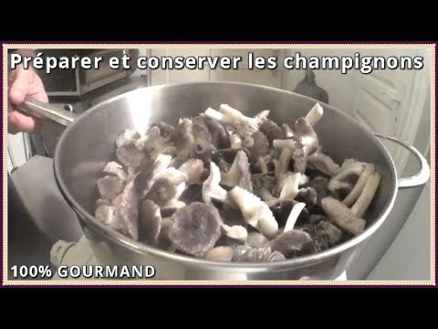 Comment bien conserver des champignons frais ? - astucefree