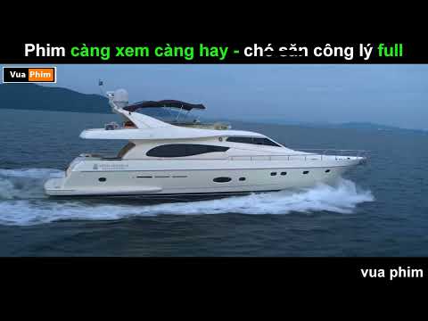 Video: Thành phố quyết định loại bỏ con chó mới được chấp nhận mặc dù những nỗ lực của gia đình để giữ Ngài