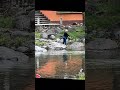 limpieza 🚮 río 🏞️