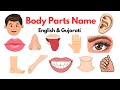 Body Parts Name for Kids | ગુજરાતીમાં બાળકો માટે શરીરના અંગો | Learn Body Parts in Gujarati for Kids