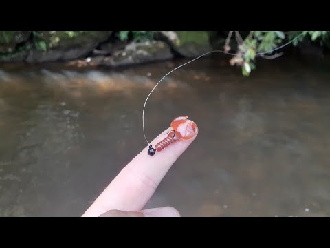 BROOK TROUT CAN'T RESIST THIS NEW LURE