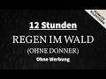 Regen in der Natur (Ohne Donner) 12 Stunden | Blackscreen | Regengeräusche zum Einschlafen