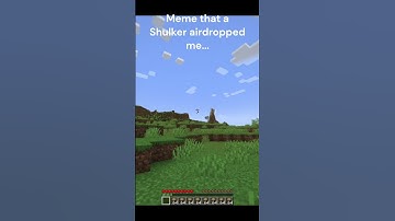 A Shulker airdropped me this meme... #shorts #minecraft #memes