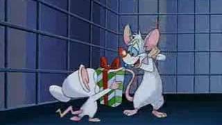 Pinky & The Brain Christmas Clip
