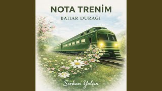 Özledim İşte