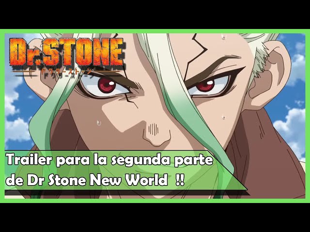 Dr Stone: New World presenta el tráiler y fecha de estreno de la segunda  parte de su tercera temporada - TVLaint