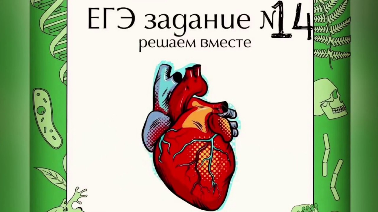 Огэ биология задание 17. 21 Задание по биологии. Задание 14 биология. Задание 3 ЕГЭ биология разбор. Рисунки с Кима по биологии.