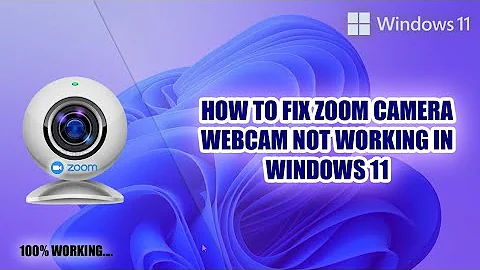 How to Fix Zoom Camera Webcam Not Working Problem in Windows 11