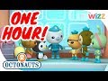 @Octonauts - One Hour Special Compilation | Cartoons for Kids | Wizz