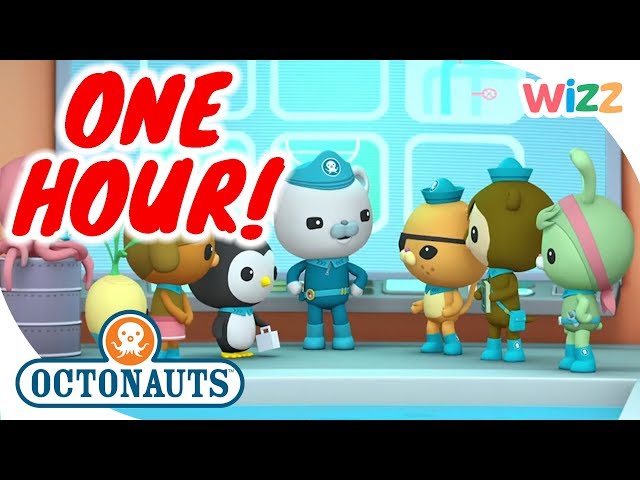 @Octonauts - One Hour Special Compilation | Cartoons for Kids | Wizz class=