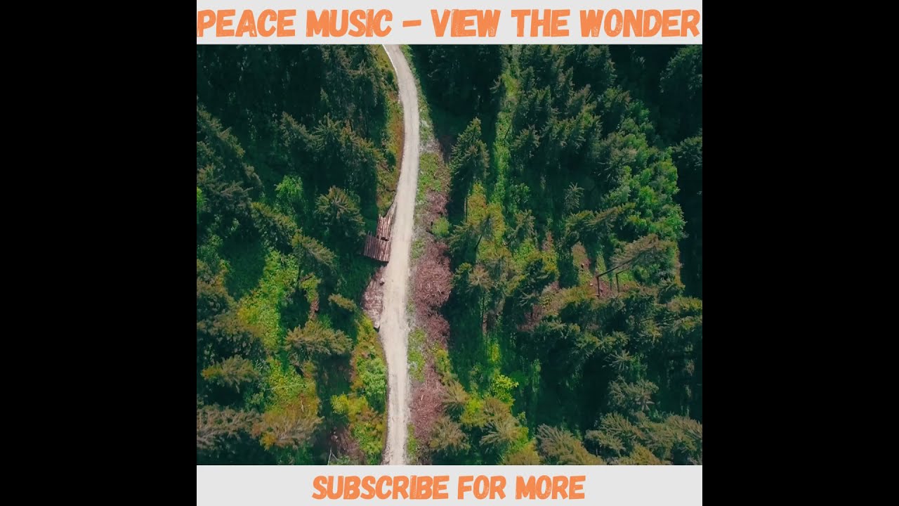 Watch A Bird's Eye View of Path in Between Dense Forest | Peace Music - View the Wonder on YouTube Watch A Bird's Eye View of Path in Between Dense Forest | Peace Music - View the Wonder on YouTube