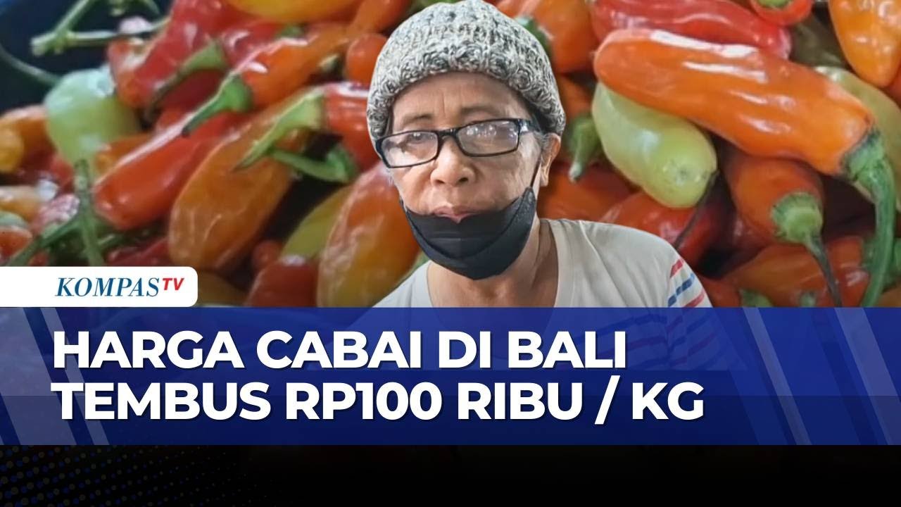 Harga Cabai Rawit di Karangasem Bali Tembus Rp100 Ribu per Kilogram, Ini Sebabnya! | KOMPAS SIANG
