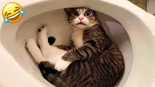 Try Not To Laugh Watching Funny Animal Fails Videos 2021