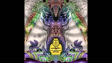 Nanospace & Symmetric Frequency - XTC