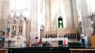 Video thumbnail of "Solo tu Jesús (Carmelitas Samaritanas)"