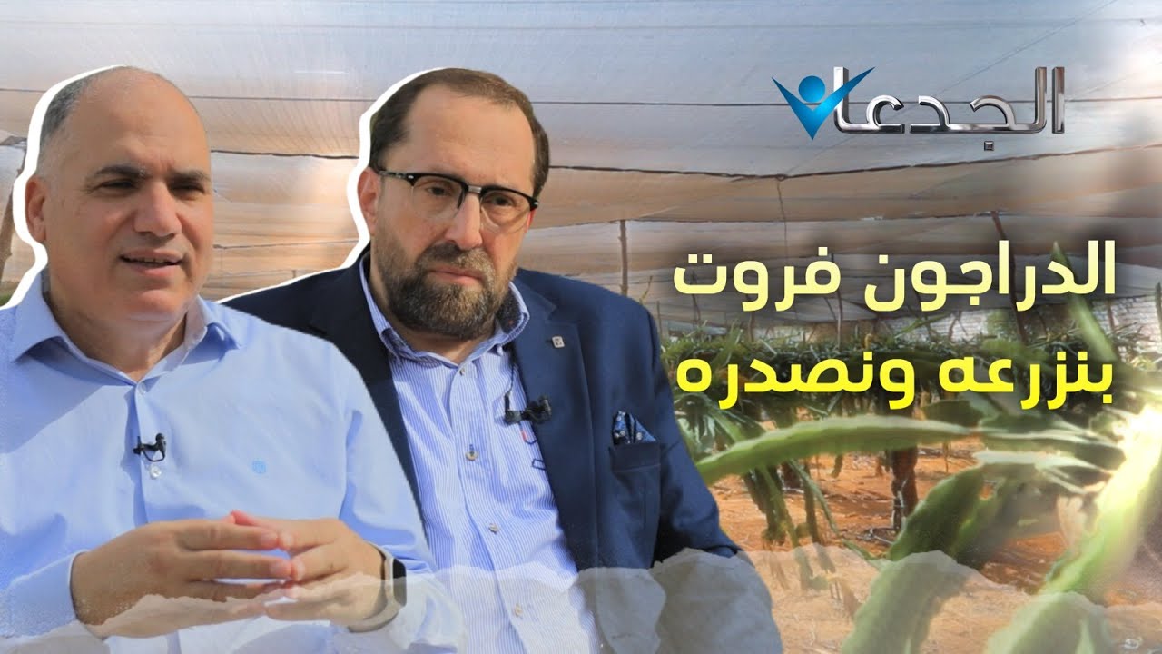الدراجون فروت.. نجح في إنتاجه في مصر وتصديره إلى إيطاليا