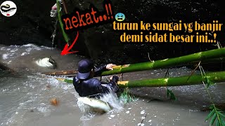 Reckless! Going down to the river during a big flood for this eel • traditional eel fishing