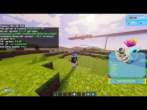 this is pocketmine?