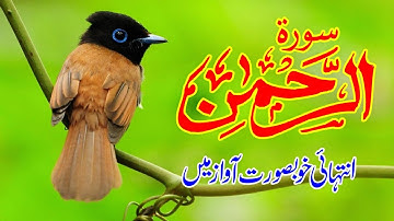 Surah Rehman Full | مکمل سورة الرحمٰن | Beautiful Voice | 2 Hafiz Studio