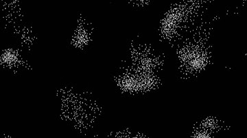 Boids with Predator - HD