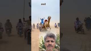Camel And Bike Race 😲 #animals #race #funny