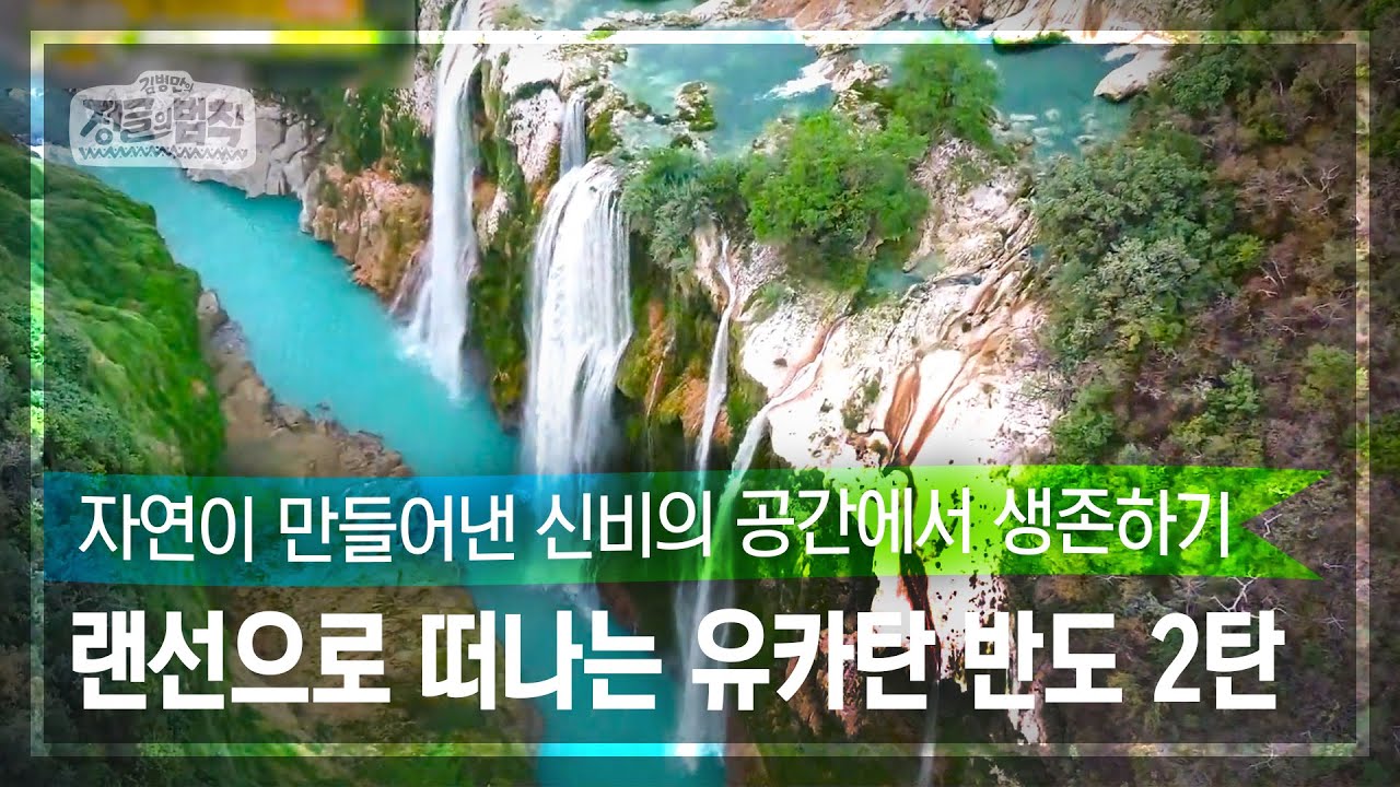 [랜선 여행✈️] 혹시..영화 속인가요..? 웅장한 자연에 놀라는 멕시코의 유카탄 반도 2탄 [정글의 법칙|SBS 방송]