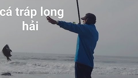 lại gặp cả nhà điểm câu long hải, lần này câu được cá tráp rồi