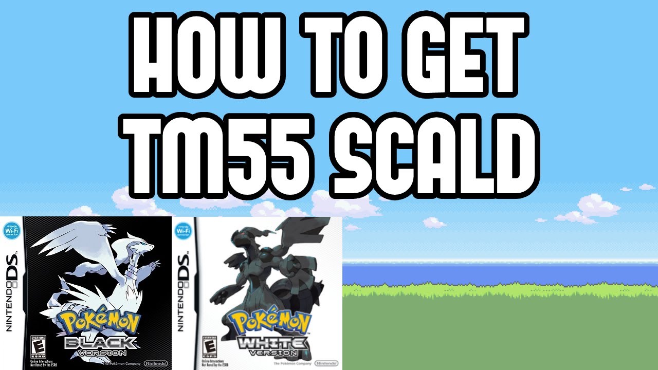 How to Get TM55 Scald in Pokemon Black/White
