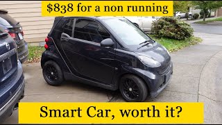 Did buying a Smart for $800 pay off?