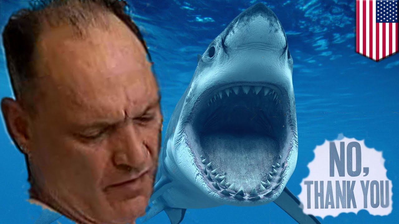 Shark swimmer Boston man jumps into New England Aquarium shark tank