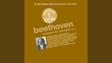 String Quartet No. 12 in E-Flat Major, Op. 127: I. Maestoso - Allegro teneramente