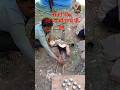 गरमा गरम चाय पी लो #hdd #drill #life
