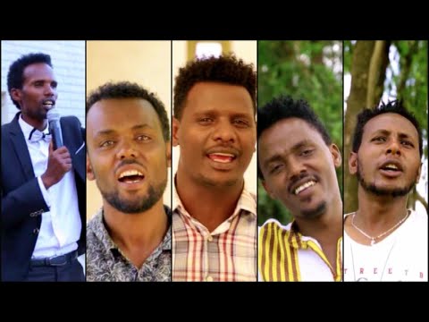 ቪዲዮ: አያን ስፕሩስ፡ የዝርያዎቹ መግለጫ፣ ክልል፣ ለዘለዓለም አረንጓዴ ዛፍ እንክብካቤ