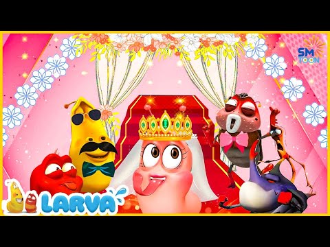Cartoons ⭕ LARVA TUBA in Portuguese Brazil - Canal Oficial 🔴cement | 4K